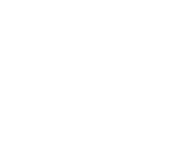 RETAIL AUTOMOTIVE